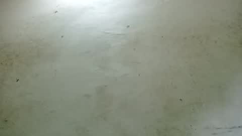 Snapshot of santichai561323 chatting on February 2025 02:51:01 AM santichai561323 online show from February 2025 02:51:01 AM