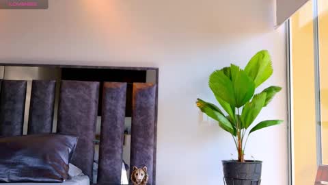 Santiago Seans online show from February 2026 01:49:02 PM