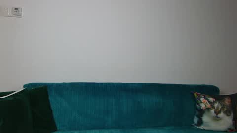 Im Sara I am happy to be here  online show from April 2026 06:09:02 AM