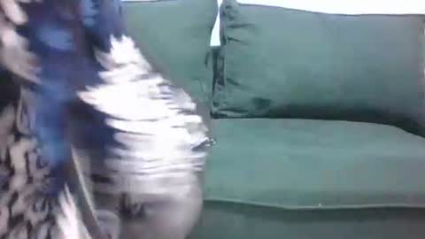 sarah_haggai online show from November 2025 04:11:02 AM