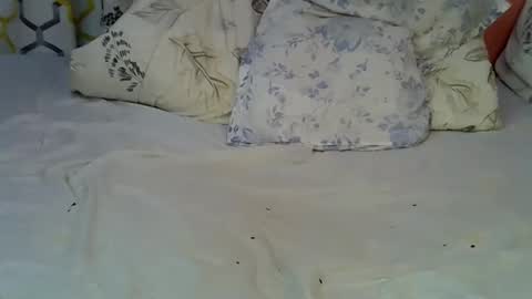 Sarah online show from January 2026 04:48:02 AM