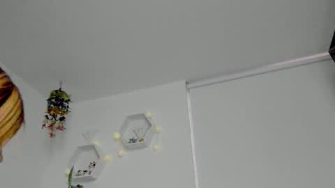 Saray  online show from January 2026 11:31:01 PM