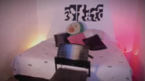 Sara online show from November 2025 10:43:02 PM