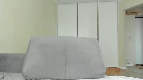 Snapshot of sasha_bell_ chatting on May 2026 05:46:01 AM Sasha online show from May 2026 05:46:01 AM