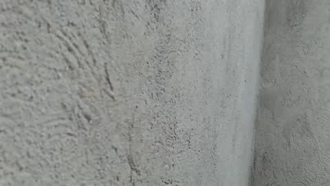 sassygurllll online show from December 2024 12:43:02 PM