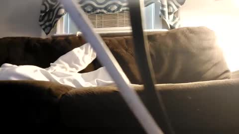 Snapshot of sayhi2mylilguy chatting on February 2025 07:15:02 PM sayhi2mylilguy online show from February 2025 07:15:02 PM