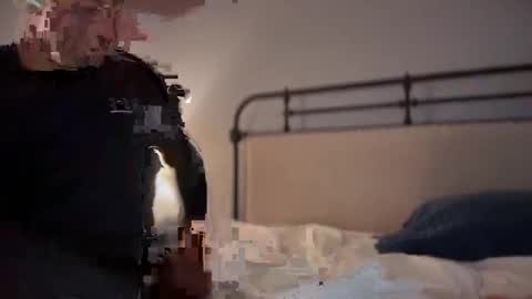 Snapshot of sbsdbfs chatting on November 2025 07:07:02 PM sbsdbfs online show from November 2025 07:07:02 PM