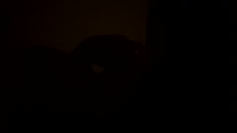 Snapshot of sc377003 chatting on March 2025 02:54:01 AM sc377003 online show from March 2025 02:54:01 AM