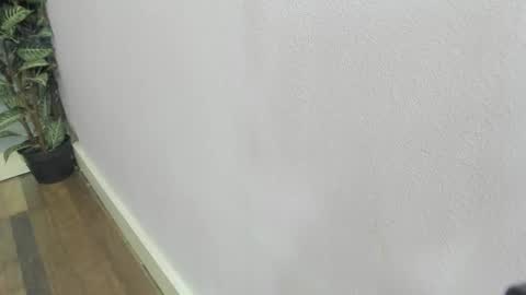 Scarlett 3 online show from February 2026 03:07:01 AM