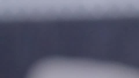 Scarlett online show from February 2025 04:03:02 PM