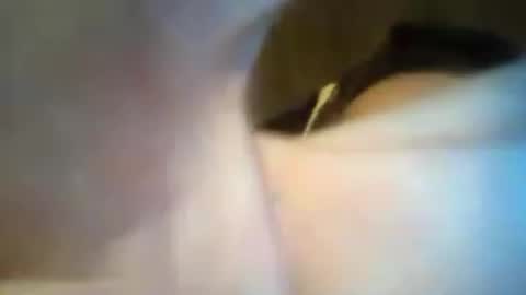 scooterlynn911 online show from June 2026 02:41:01 PM