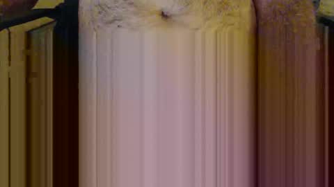 scott1usa online show from March 2026 09:00:01 PM