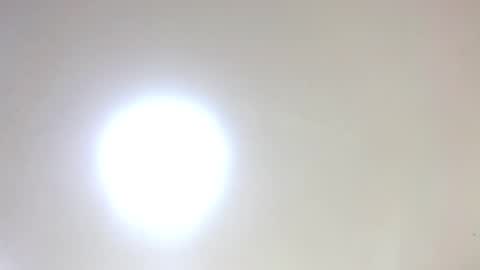 Damar online show from January 2026 05:50:01 PM