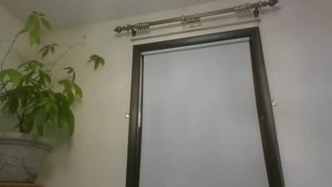 scottpbi52 online show from December 2024 12:16:02 PM