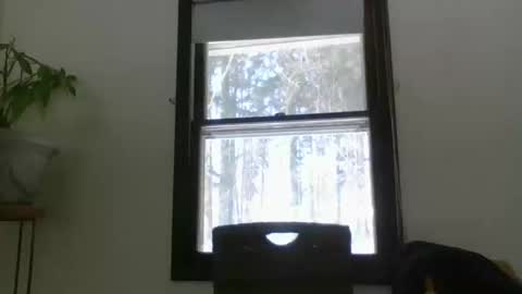 scottpbi52 online show from February 2025 05:13:02 PM