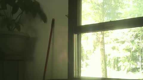 scottpbi52 online show from September 2025 02:44:02 PM