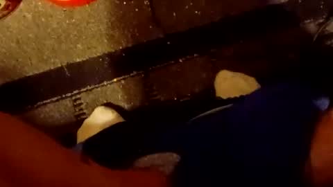 scruples99273286 online show from October 2025 08:34:02 AM