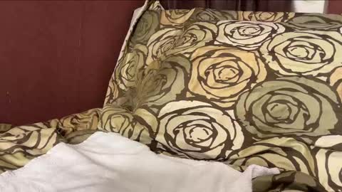 Hennriette    and Sebastian     online show from December 2024 06:27:01 PM