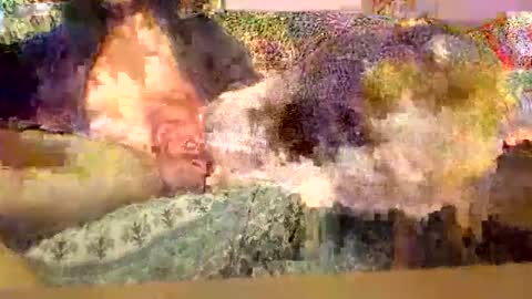 Dirty13 online show from November 2025 07:07:02 PM