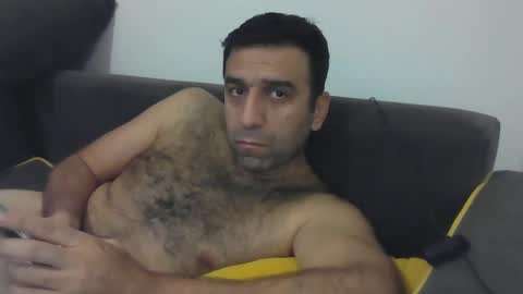 Snapshot of sedulo chatting on January 2025 08:58:02 PM seyfo online show from January 2025 08:58:02 PM