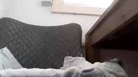 Snapshot of seekyle66 chatting on September 2025 11:10:01 AM seekyle66 online show from September 2025 11:10:01 AM