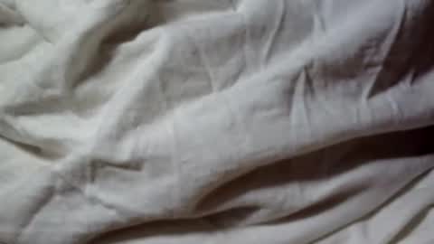 Snapshot of seeus24 chatting on February 2025 08:29:02 AM seeus24 online show from February 2025 08:29:02 AM