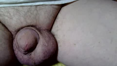 seeus24 online show from November 2025 05:26:01 PM