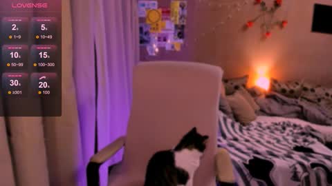 selectrra online show from February 2026 04:58:02 PM