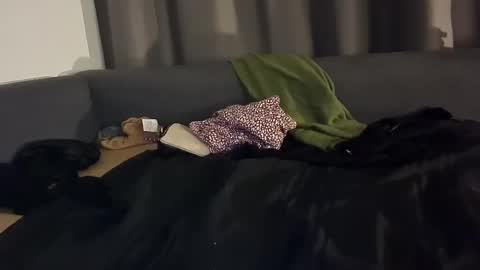 Julian Kinky Bi-guy online show from January 2025 05:06:02 AM