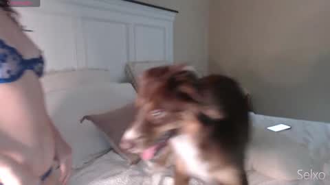 Sel online show from September 2025 01:03:01 PM