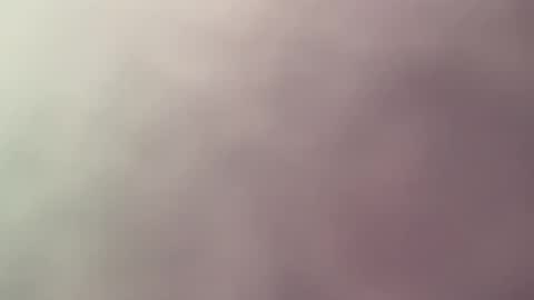 sens3439 online show from February 2026 11:14:01 AM