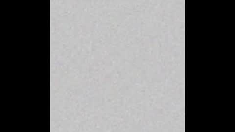 ROSE online show from December 2024 11:00:01 AM