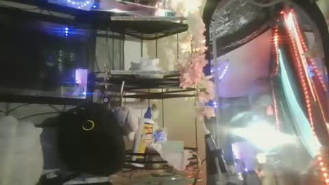 sequoia8888 online show from October 2025 07:26:02 PM