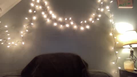 Seroc online show from March 2025 11:46:01 PM