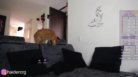 setth online show from February 2026 06:00:02 PM