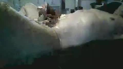 sexboy1437 online show from November 2025 10:15:02 AM