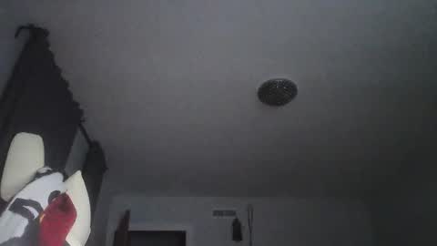 Snapshot of sexbrute chatting on May 2026 01:03:02 AM sexbrute online show from May 2026 01:03:02 AM