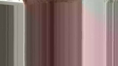 Snapshot of sexland0071 chatting on January 2026 06:06:02 AM Sexland online show from January 2026 06:06:02 AM