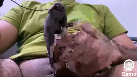 sexmachine4ubabes online show from December 2024 03:50:02 AM