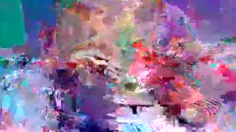 sexxycotton online show from April 2026 07:24:02 AM