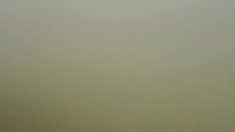 Snapshot of sexy_esther92 chatting on January 2026 06:39:02 AM sexy_esther92 online show from January 2026 06:39:02 AM