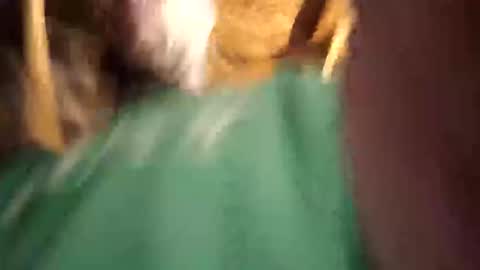    RICHY    online show from April 2026 11:26:02 AM