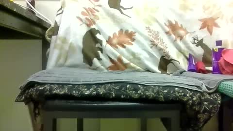 Daddy online show from February 2026 06:59:02 PM