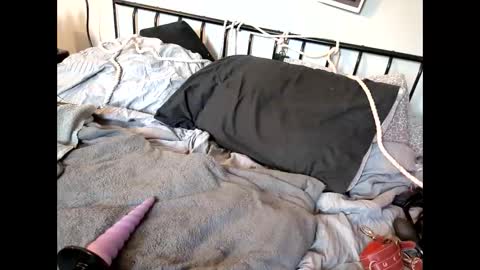 Kali  Brent online show from April 2026 06:10:01 PM