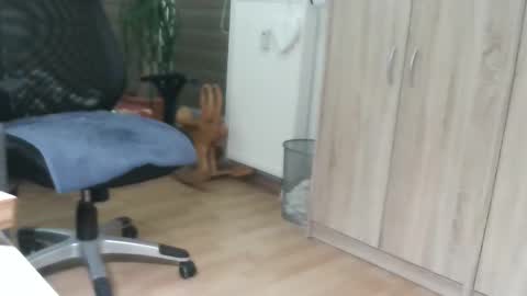 sexybub2 online show from December 2024 03:57:01 PM