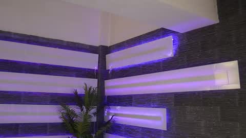 Celline online show from February 2026 05:19:02 AM