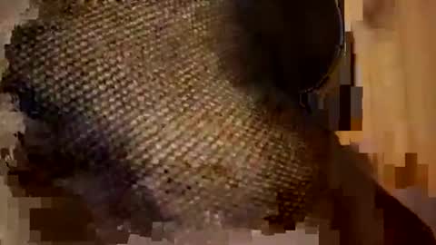 Forever Erotica online show from November 2025 11:25:02 PM