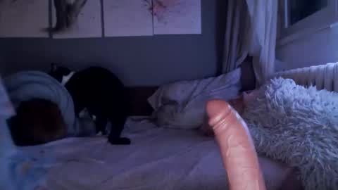     .... ............ Onlyfans   online show from February 2025 10:04:02 PM