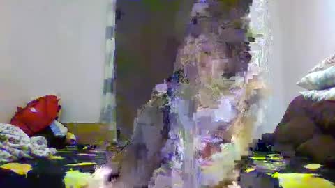 Snapshot of sexygirls9805 chatting on March 2025 07:38:02 PM Tiky Flory Lenny online show from March 2025 07:38:02 PM