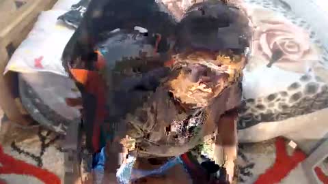 sexyjustin202 online show from November 2025 02:45:02 AM